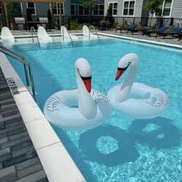 pool area showing reclining seating